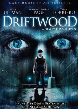 电影《地狱管教所 Driftwood》4k免费在线观看