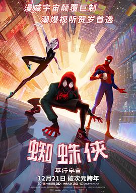 第一动漫《蜘蛛侠：平行宇宙 Spider-Man: Into the Spider-Verse》免费在线观看