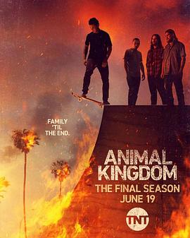 电视剧《野兽家族 第六季 Animal Kingdom Season 6》HD在线免费观看