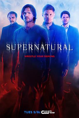 第一动漫《邪恶力量 第十季 Supernatural Season 10》免费在线观看