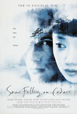 第一动漫《落在香杉树的雪花 Snow Falling on Cedars》免费在线观看