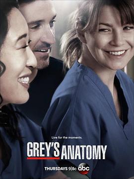 第一动漫《实习医生格蕾 第十季 Grey's Anatomy Season 10》免费在线观看