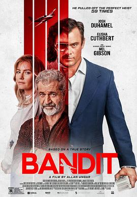 电视剧《盗贼 Bandit》HD在线免费观看