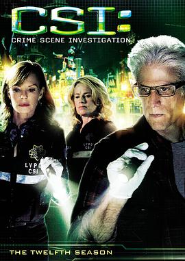 第一动漫《犯罪现场调查 第十二季 CSI: Crime Scene Investigation Season 12》免费在线观看