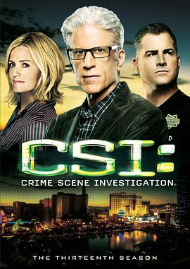 第一动漫《犯罪现场调查 第十三季 CSI: Crime Scene Investigation Season 13》免费在线观看