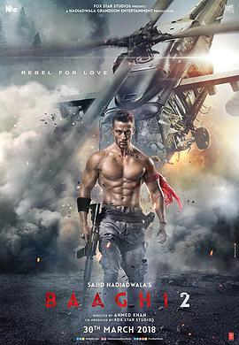 第一动漫《为爱叛逆2之逆战到底 Baaghi 2: A Rebel For Love》免费在线观看