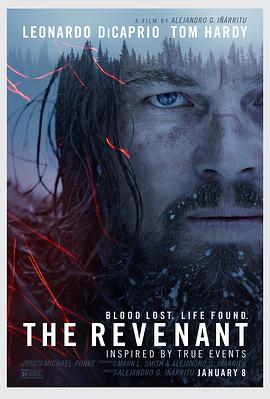 第一动漫《荒野猎人 The Revenant》免费在线观看