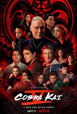 电视剧《眼镜蛇 第五季 Cobra Kai Season 5》高清免费在线观看