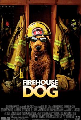 第一动漫《消防犬 Firehouse Dog》免费在线观看