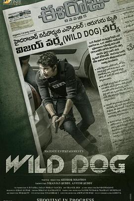 第一动漫《野狗 Wild Dog》免费在线观看