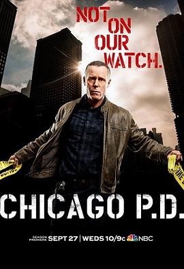 第一动漫《芝加哥警署 第五季 Chicago P.D. Season 5》免费在线观看