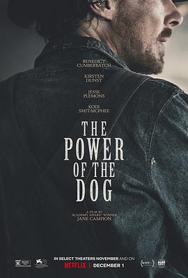 第一动漫《犬之力 The Power of the Dog》免费在线观看