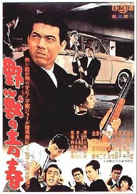 第一动漫《野兽的青春 野獣の青春》免费在线观看