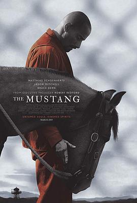 第一动漫《野马 The Mustang》免费在线观看