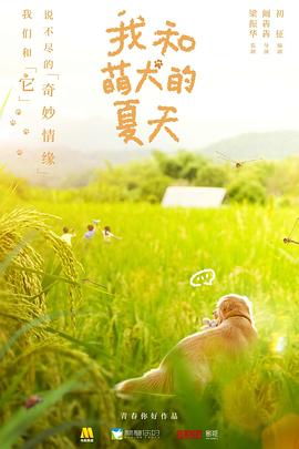 第一动漫《我和萌犬的夏天》免费在线观看